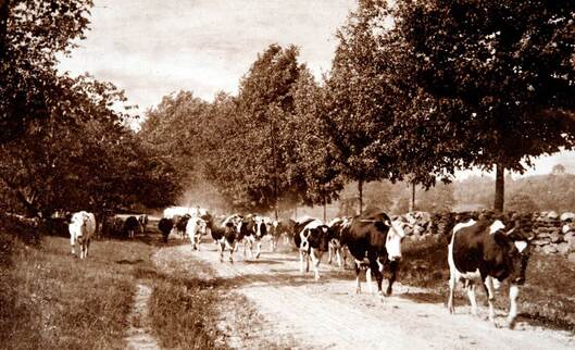 Pastoral scene in Hollis, New Hampshire